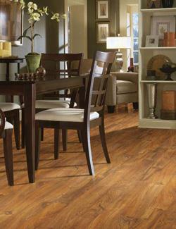 Wood Look Tile in Sarasota, FL